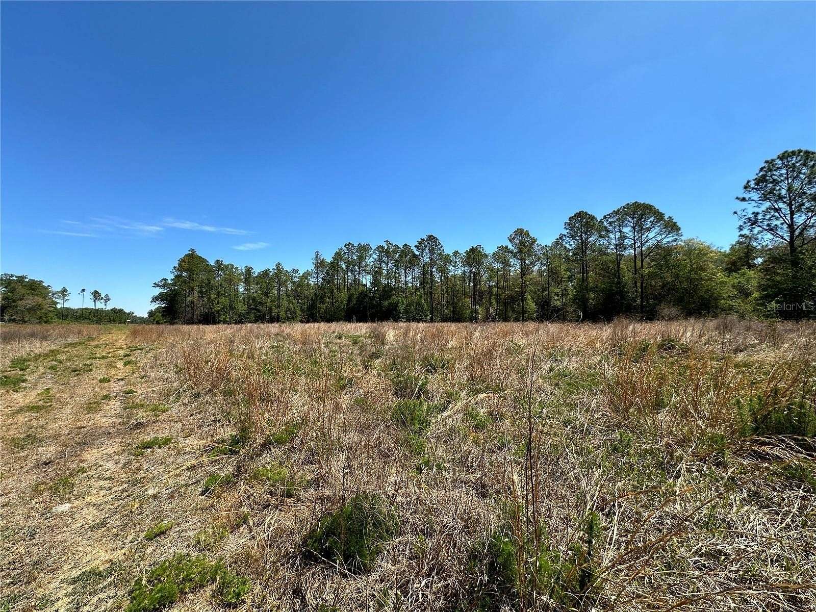 5 Acres of Residential Land for Sale in Bronson, Florida