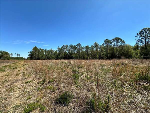 5 Acres of Residential Land for Sale in Bronson, Florida