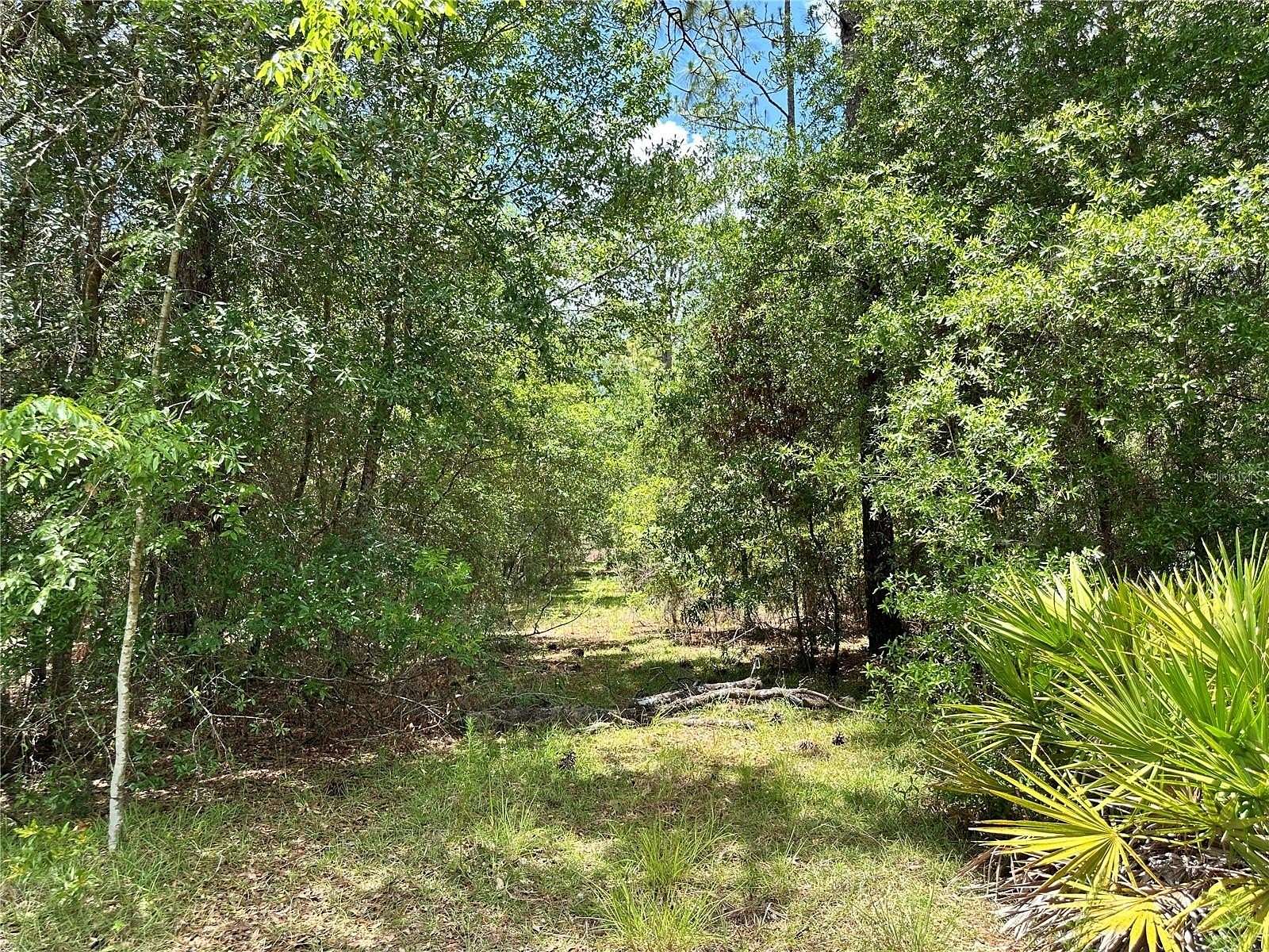 1 Acre of Land for Sale in Bronson, Florida