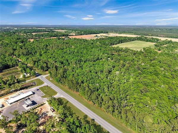 13.6 Acres of Recreational & Residential Land for Sale in Milton, Florida