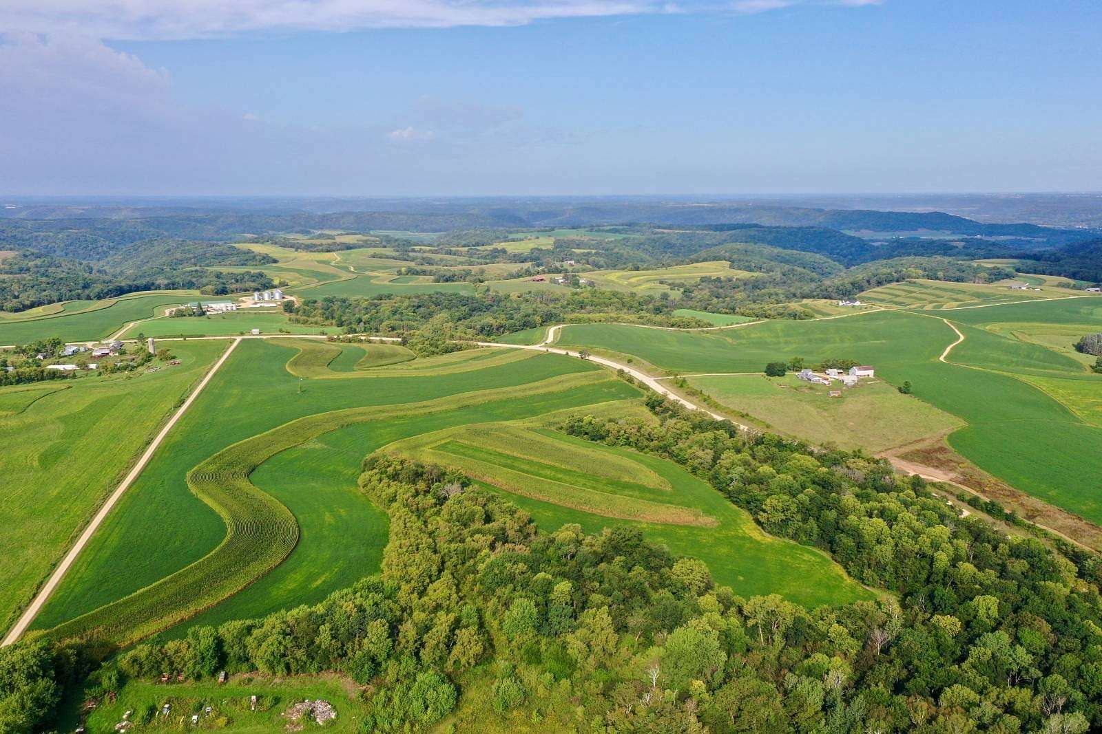 79 Acres of Land for Sale in Houston, Minnesota