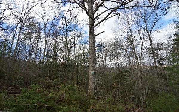 1.73 Acres of Residential Land for Sale in Blairsville, Georgia