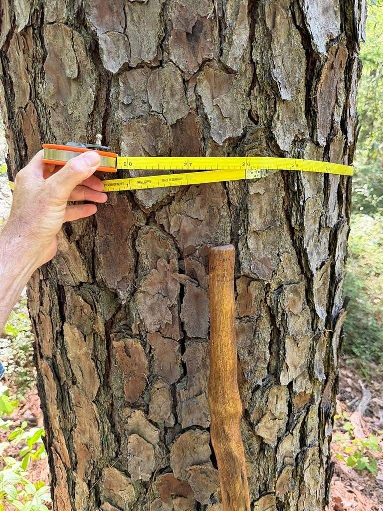 7 Acres of Residential Land for Sale in Thomasville, Georgia