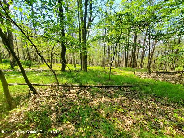 0.76 Acres of Land for Sale in Cragsmoor, New York