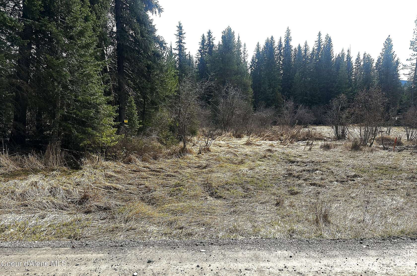 5 Acres of Land for Sale in St. Maries, Idaho