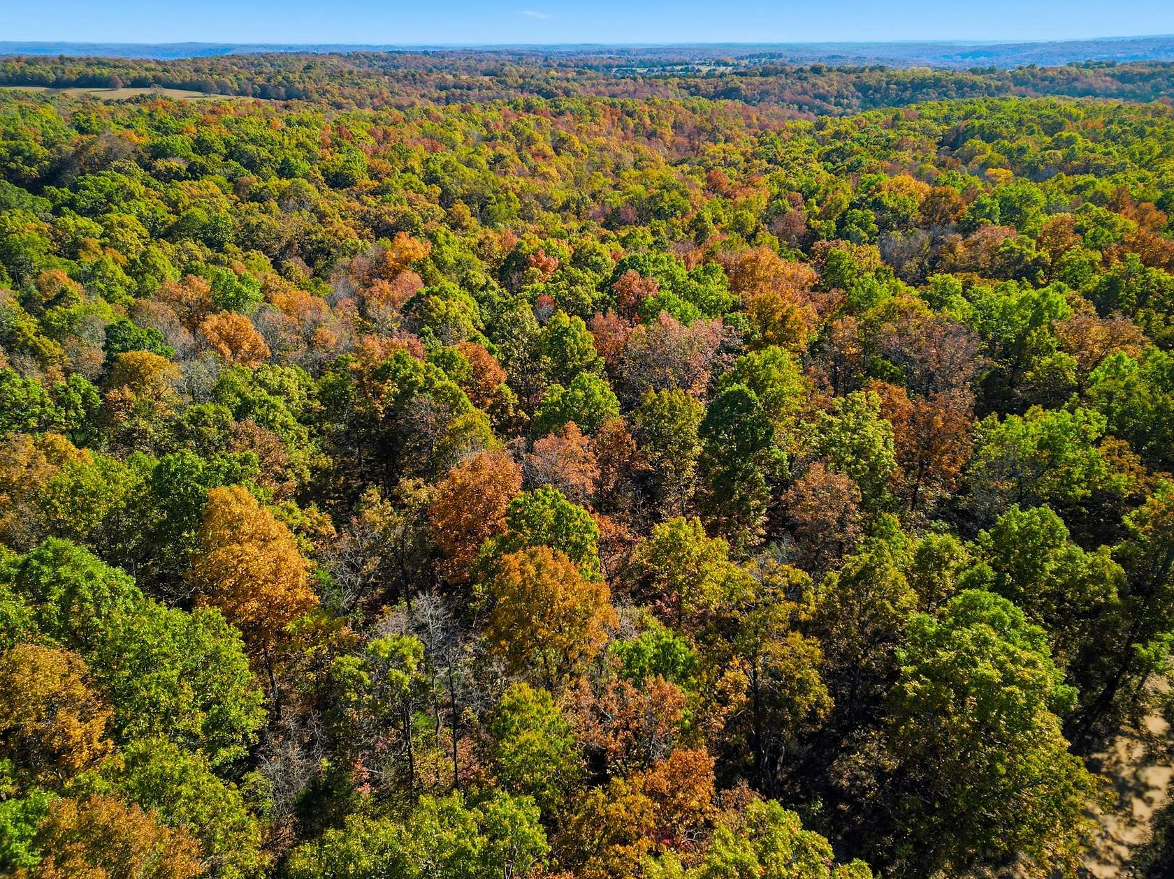 40 Acres of Land for Sale in Hardenville, Missouri