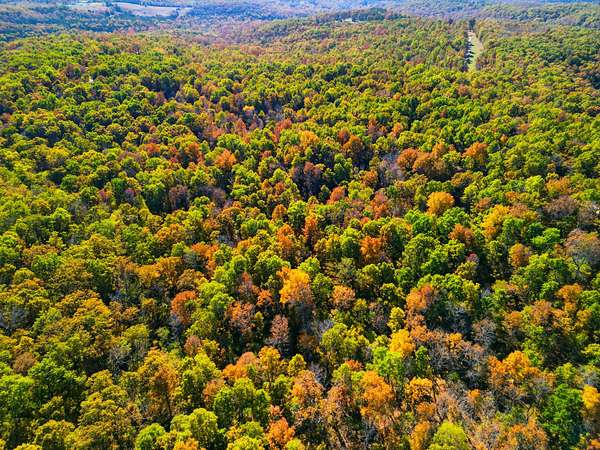 50 Acres of Land for Sale in Hardenville, Missouri