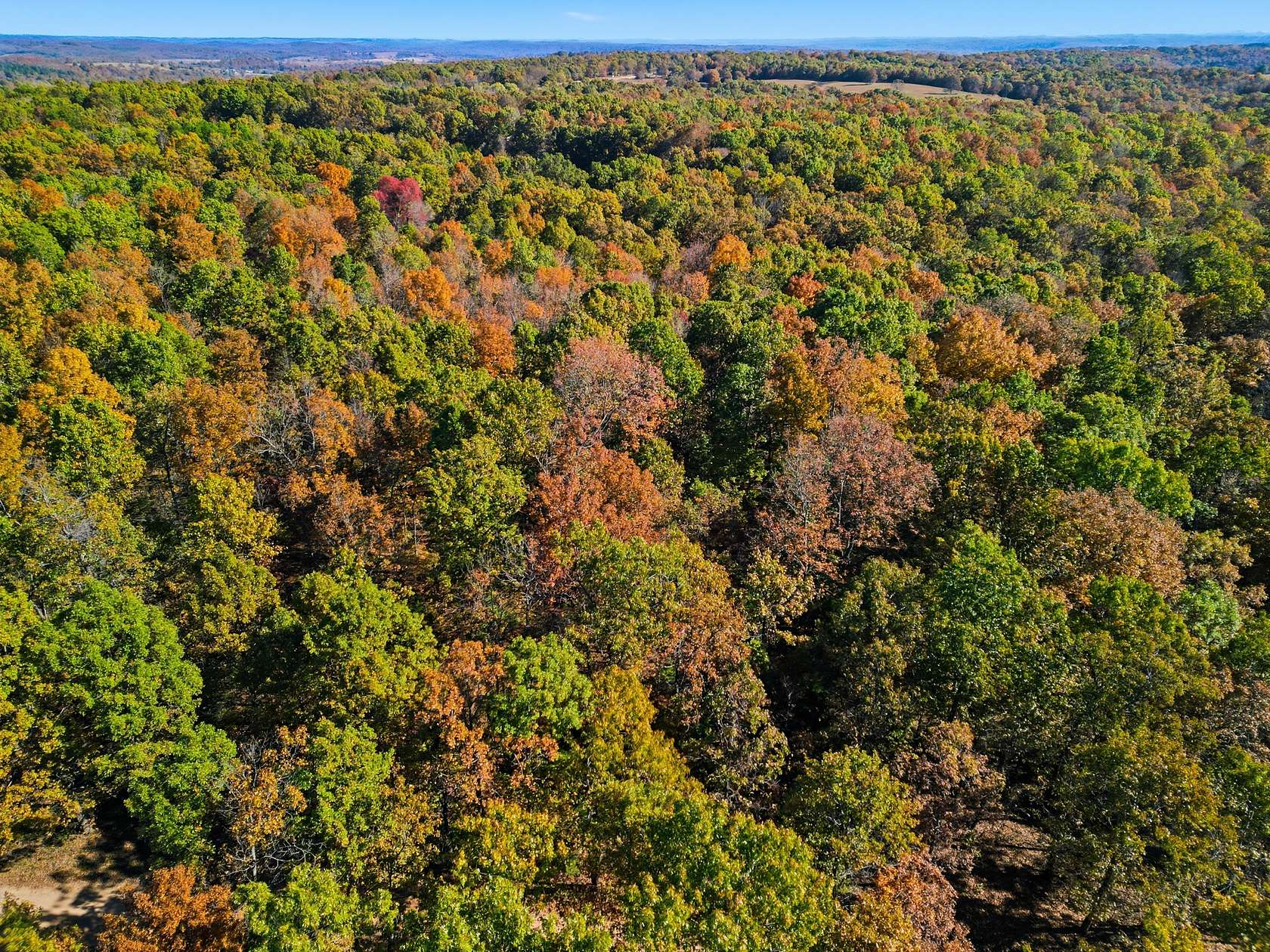 90 Acres of Land for Sale in Hardenville, Missouri