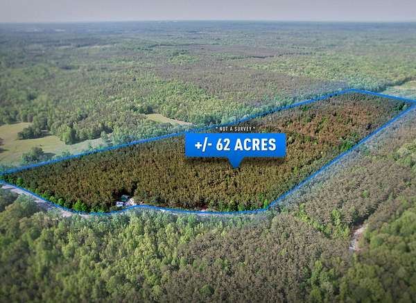 62.3 Acres of Land for Sale in Guntown, Mississippi