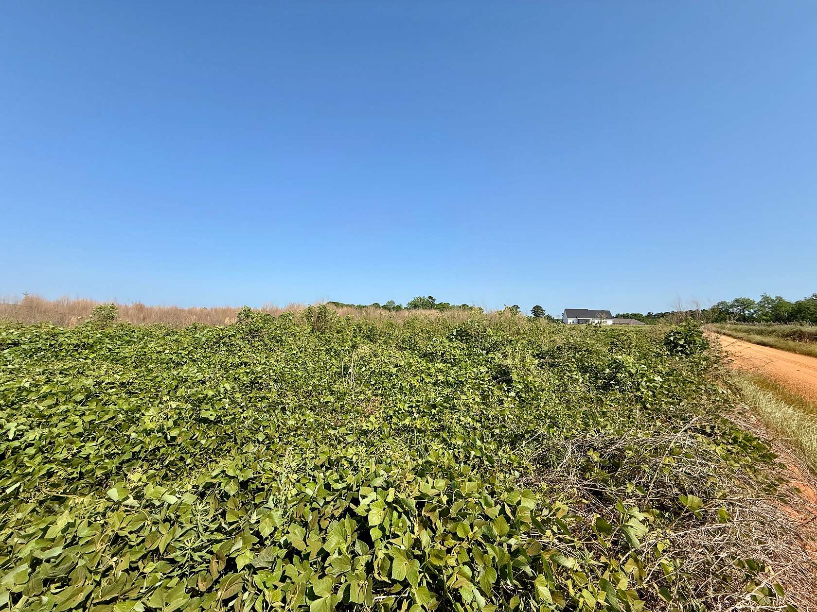 1 Acre of Residential Land for Sale in Newton, Alabama