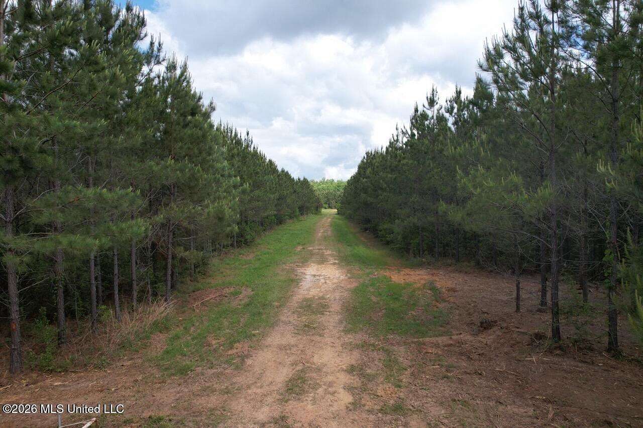 47 Acres of Land for Sale in Greensburg, Louisiana