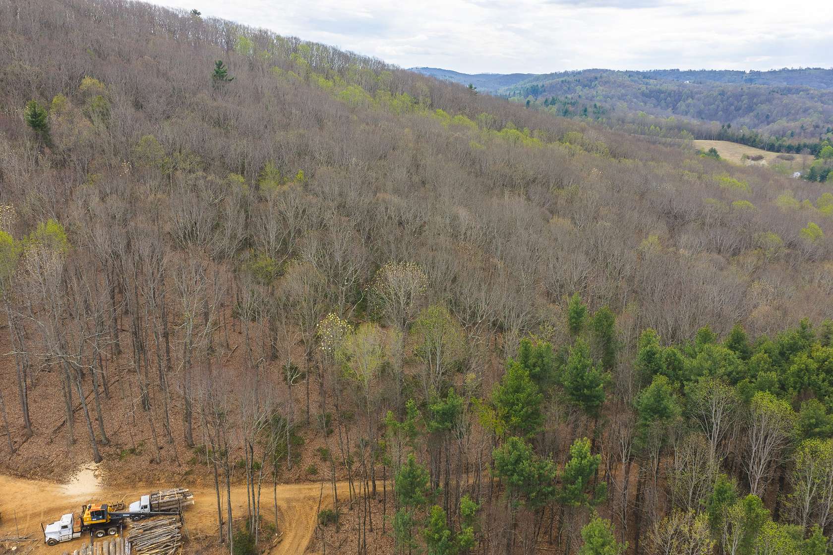 8.63 Acres of Land for Auction in Floyd, Virginia