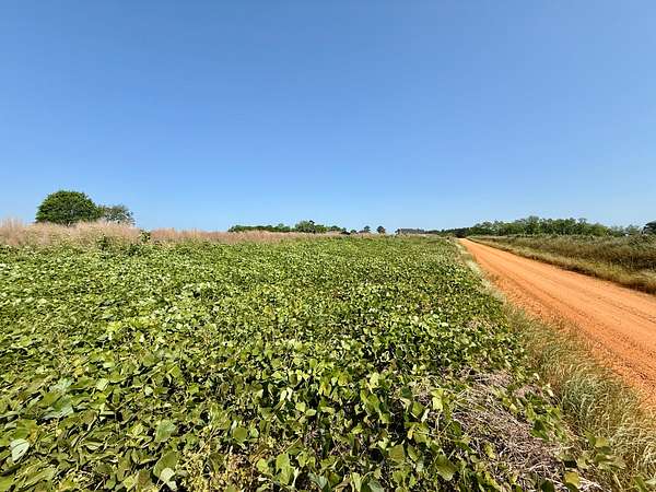 1 Acre of Residential Land for Sale in Newton, Alabama