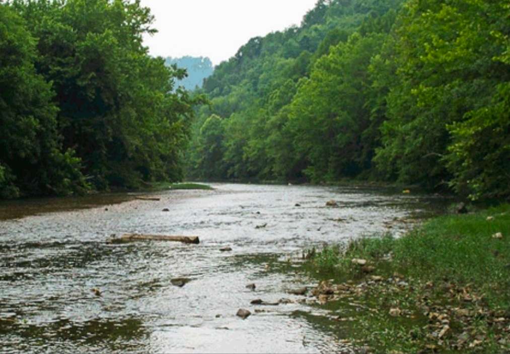 16.2 Acres of Land for Sale in Tazewell, Tennessee