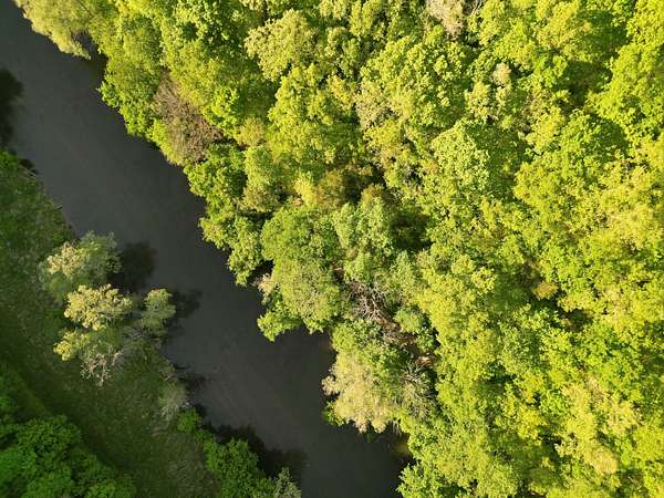 16.2 Acres of Land for Sale in Tazewell, Tennessee