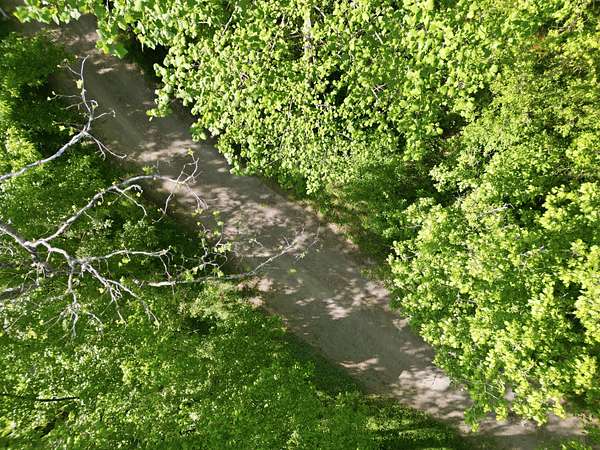 16.2 Acres of Land for Sale in Tazewell, Tennessee