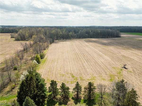 30 Acres of Land for Auction in Creston, Ohio