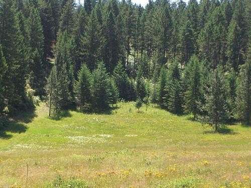 20 Acres of Land for Sale in Colville, Washington