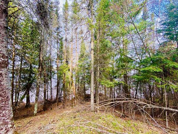0.93 Acres of Residential Land for Sale in Solon Springs, Wisconsin
