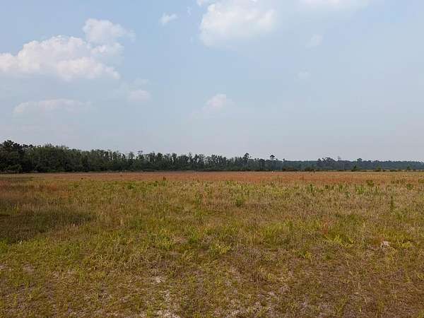 4.32 Acres of Residential Land for Sale in Naylor, Georgia