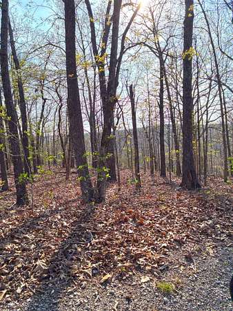 0.16 Acres of Residential Land for Sale in Cherokee Village, Arkansas