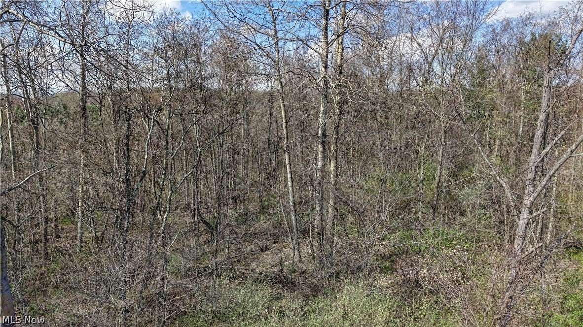 1 Acre of Residential Land for Sale in Canton, Ohio