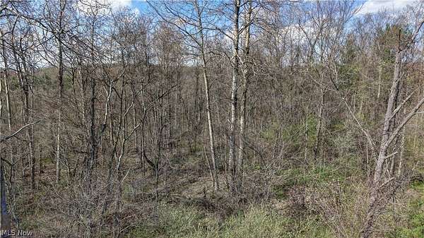 1 Acre of Residential Land for Sale in Canton, Ohio