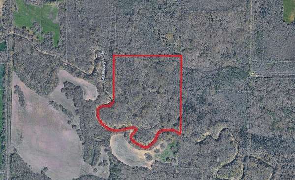 29.6 Acres of Recreational & Residential Land for Sale in Wolfe City, Texas
