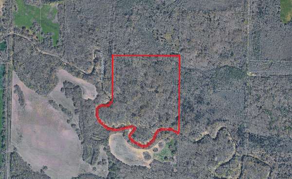 29.6 Acres of Recreational & Residential Land for Sale in Wolfe City, Texas