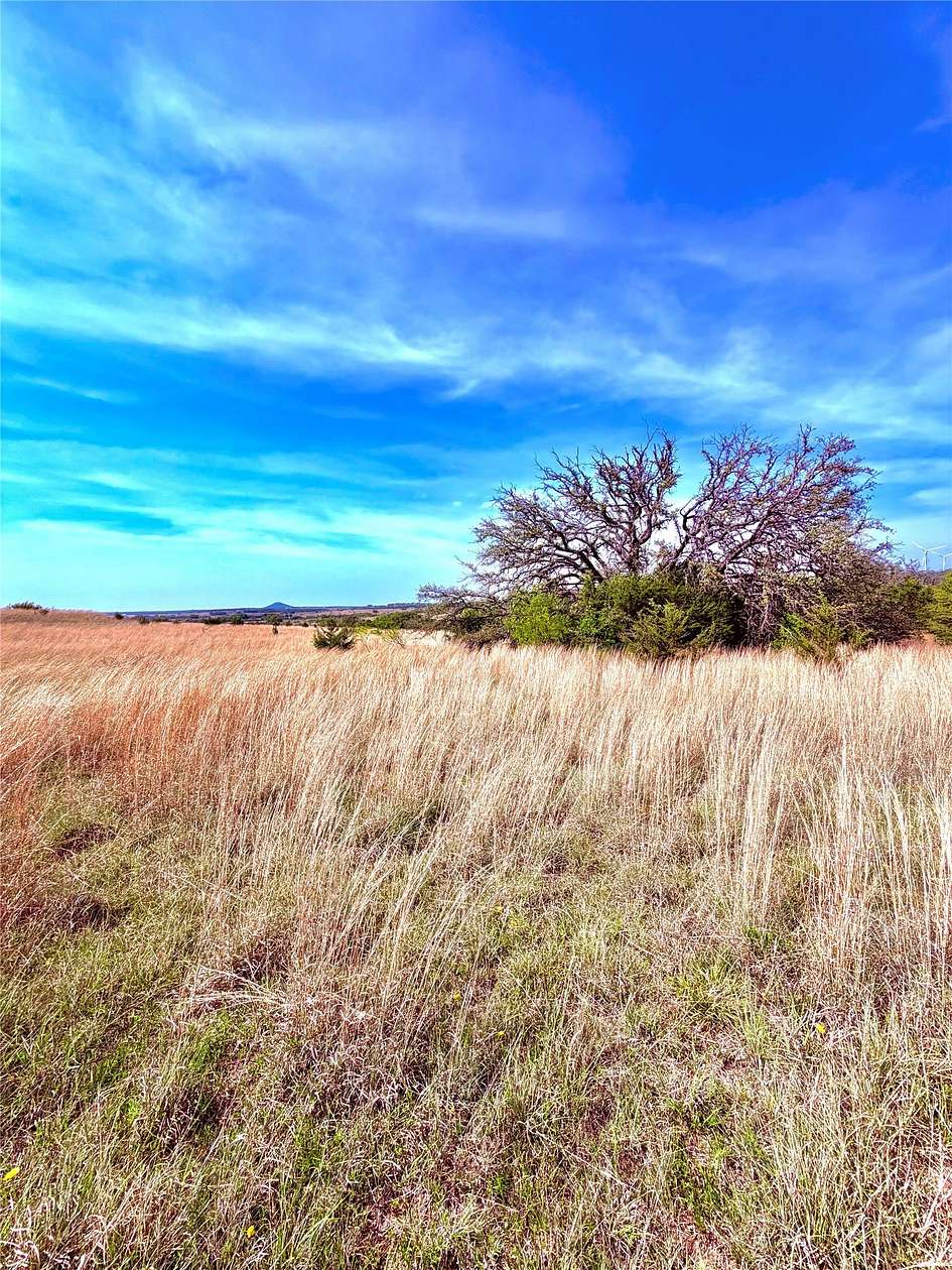 20 Acres of Land for Sale in Goldthwaite, Texas
