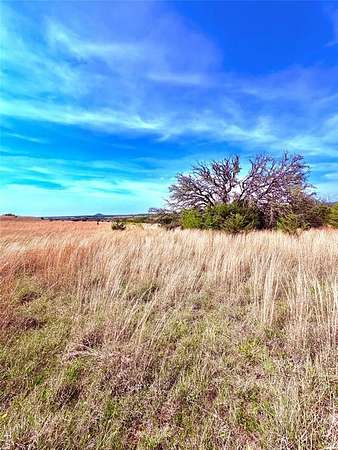 20 Acres of Land for Sale in Goldthwaite, Texas