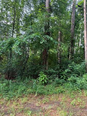 0.16 Acres of Land for Sale in Frankston, Texas