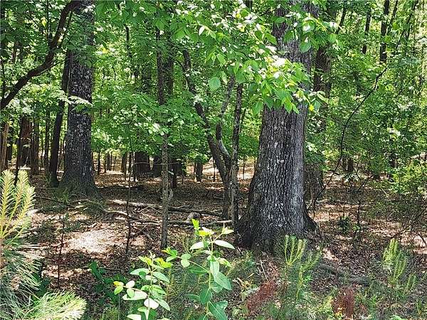 11.4 Acres of Land for Sale in Suwanee, Georgia