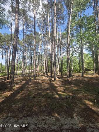 0.51 Acres of Land for Sale in Currie, North Carolina