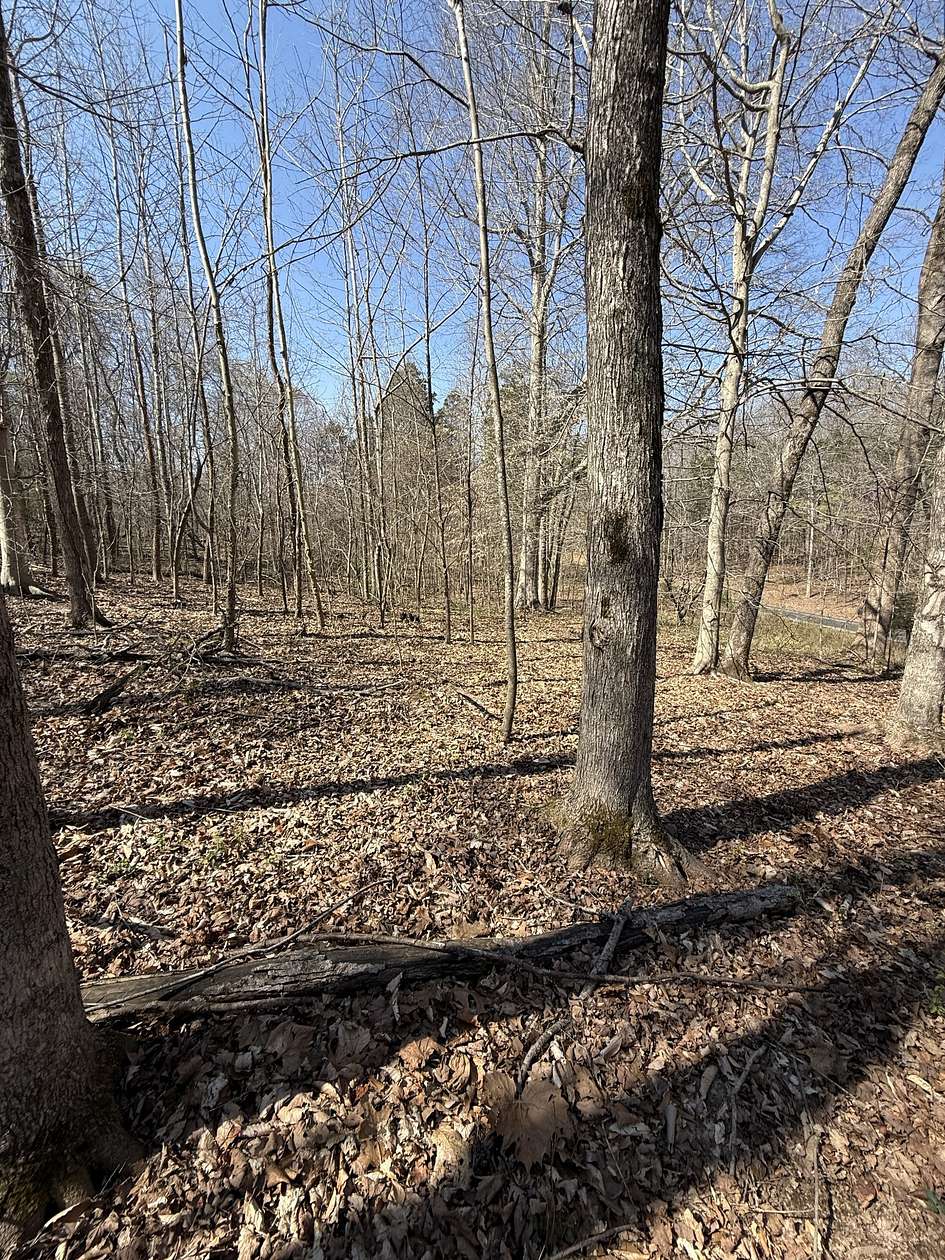 10 Acres of Residential Land for Sale in Erin, Tennessee