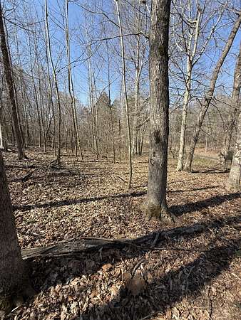 10 Acres of Residential Land for Sale in Erin, Tennessee