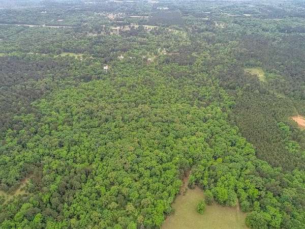 118 Acres of Recreational & Residential Land for Sale in Hallsville, Texas