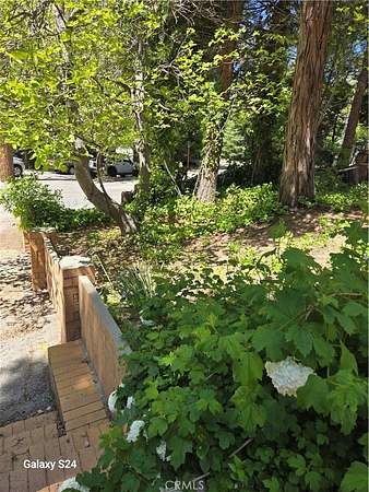 0.17 Acres of Land for Sale in Cedar Glen, California