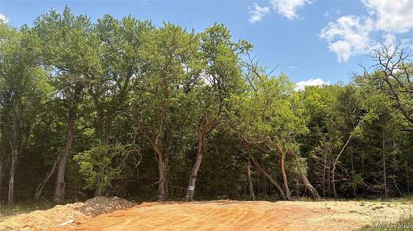 60 Acres of Land for Sale in Hayneville, Alabama
