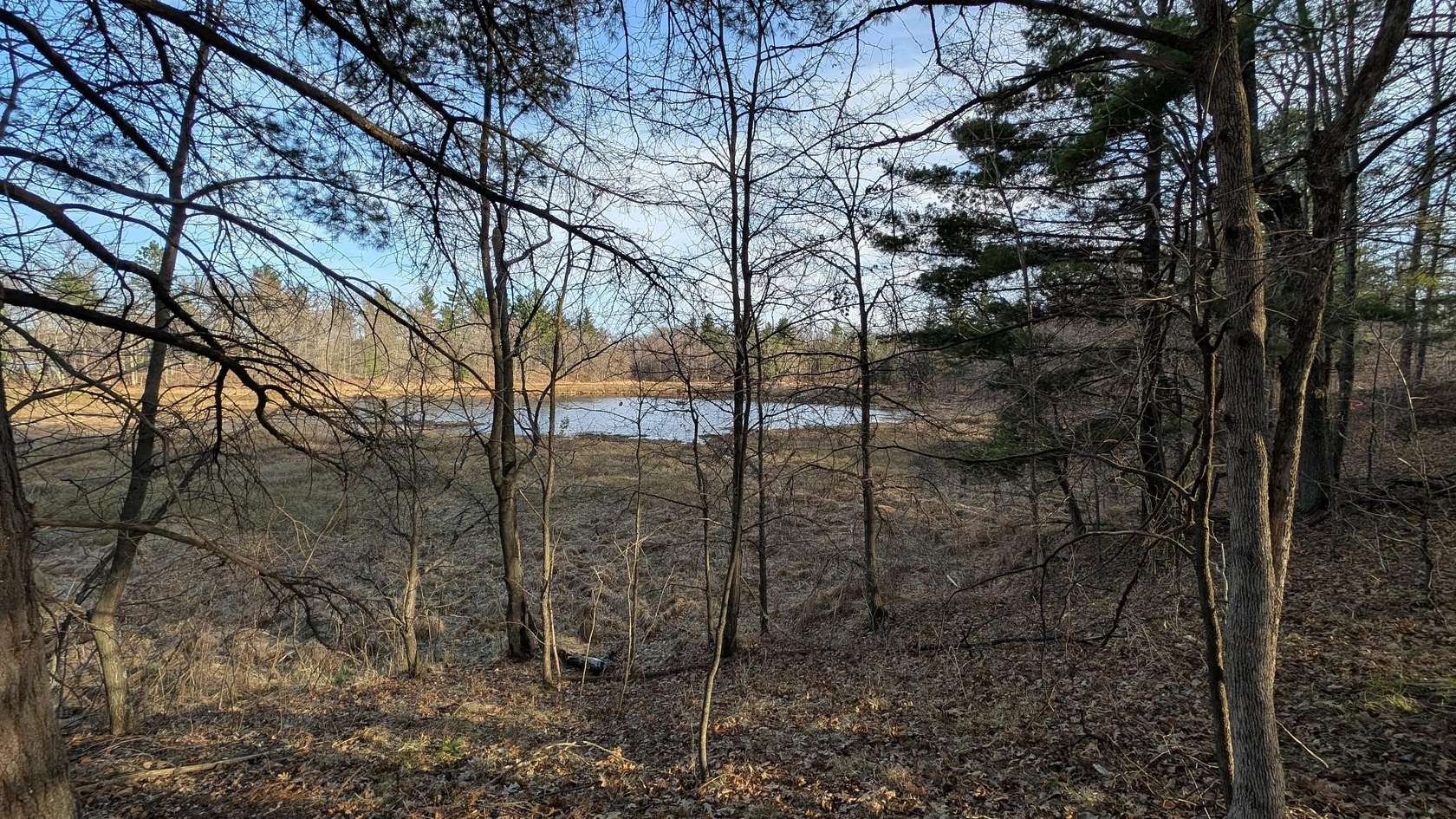 2.57 Acres of Land for Sale in Danbury, Wisconsin