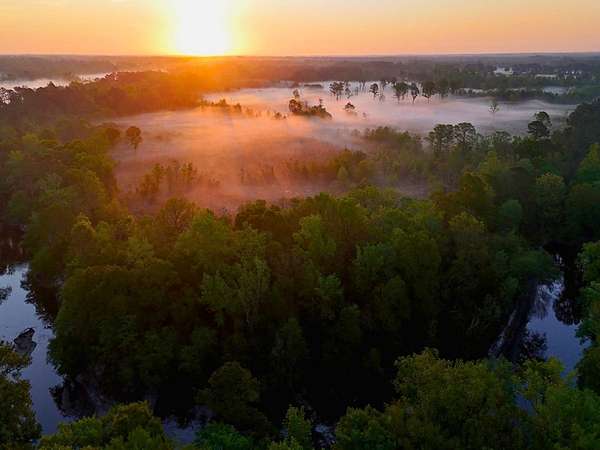 175 Acres of Recreational Land for Sale in Beulaville, North Carolina