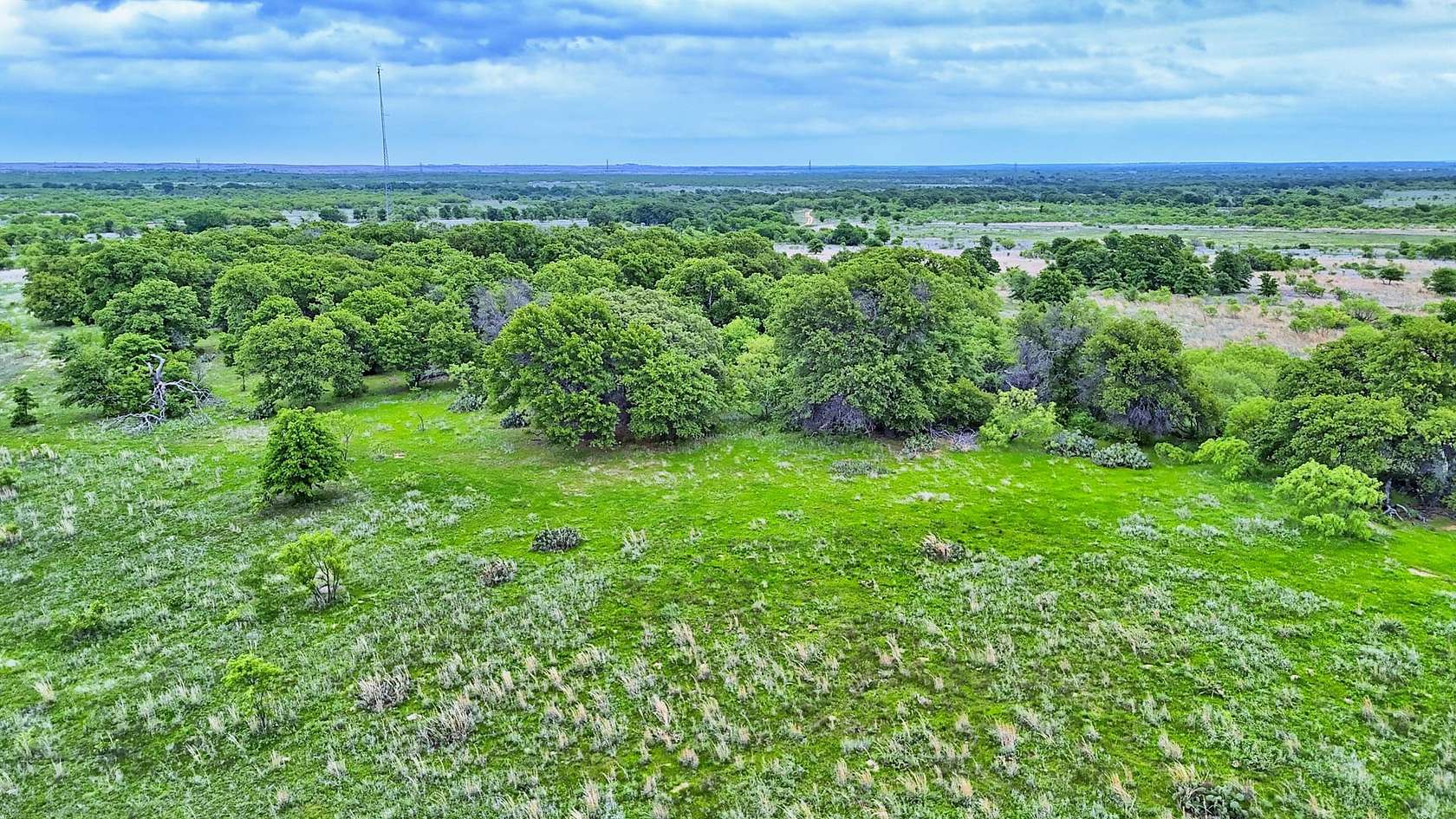 95 Acres of Land for Sale in Windthorst, Texas