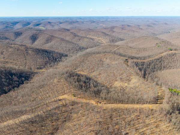 222 Acres of Recreational Land for Sale in Vanceburg, Kentucky