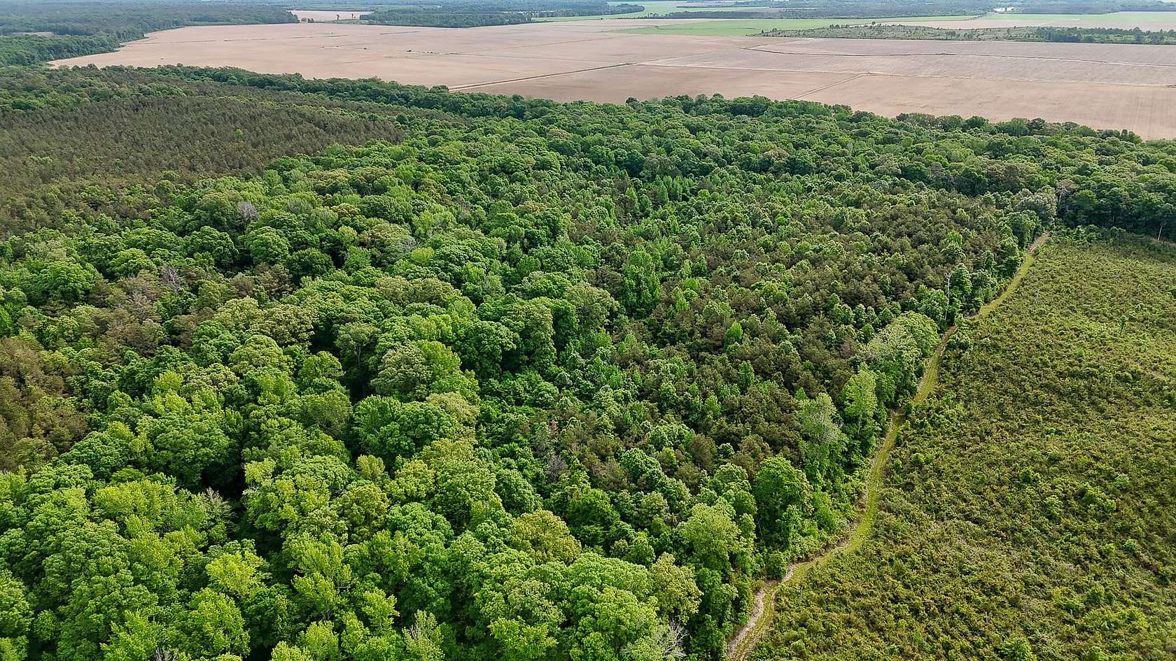 40 Acres of Recreational Land for Sale in Hamburg, Arkansas