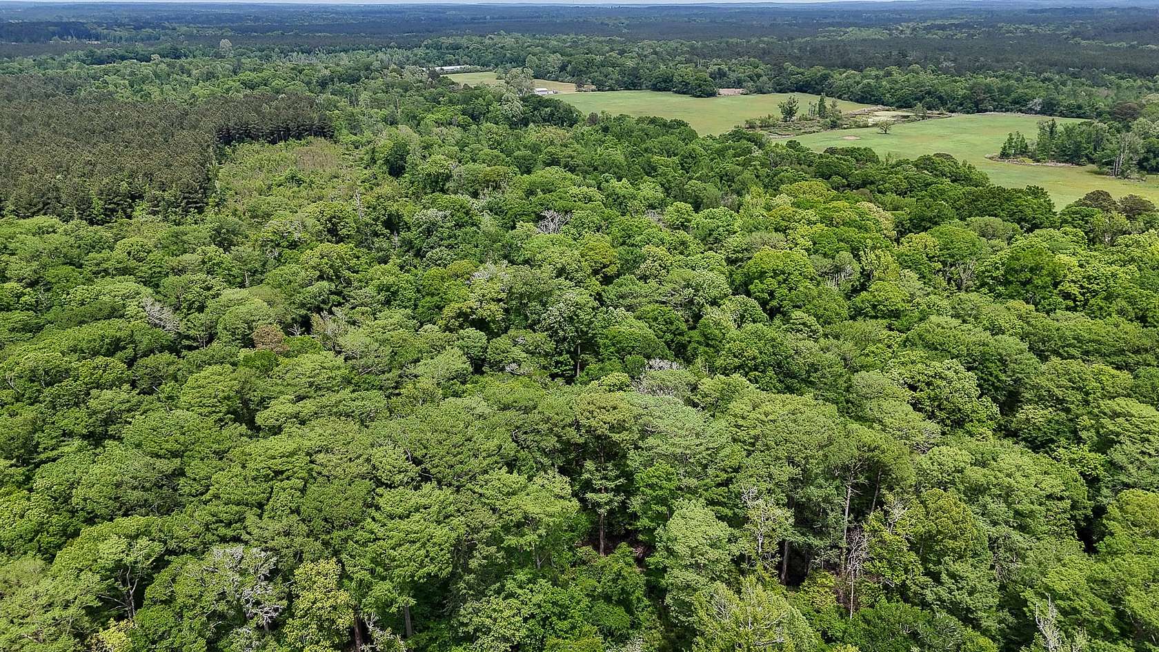 20 Acres of Recreational Land for Sale in Mount Union, Louisiana