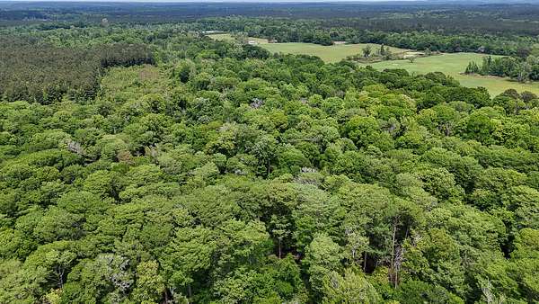 20 Acres of Recreational Land for Sale in Mount Union, Louisiana