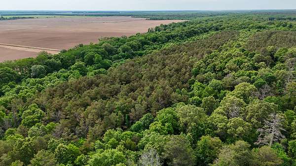 40 Acres of Recreational Land for Sale in Hamburg, Arkansas