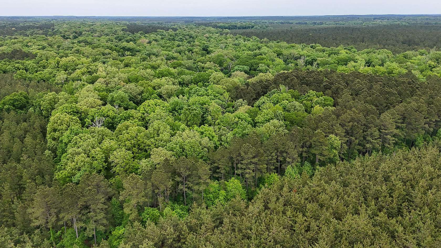 80 Acres of Recreational Land for Sale in Marion, Louisiana