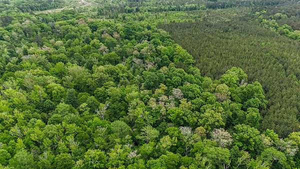 59 Acres of Recreational Land for Sale in Marion, Louisiana