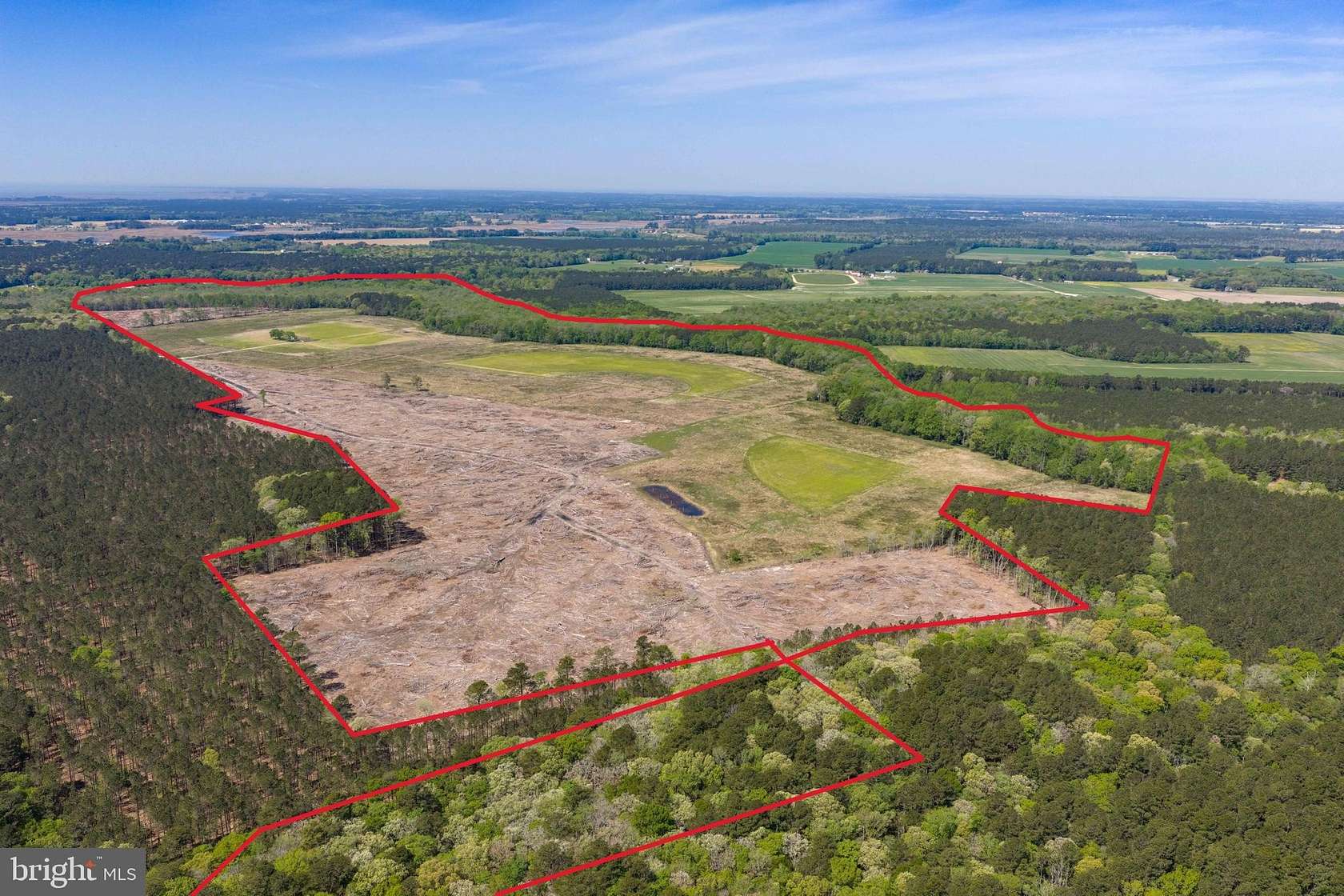 263 Acres of Agricultural Land for Sale in Pocomoke City, Maryland